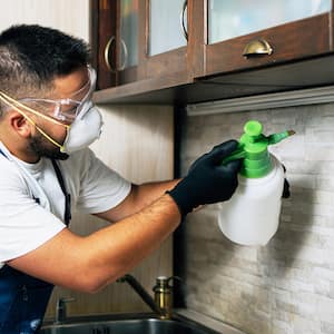 Exterminator sprays a kitchen to prevent pests